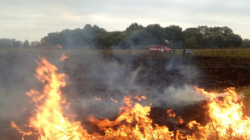 Рятувальники ліквідували пожежі на пшеничних полях у чотирьох областях країни
