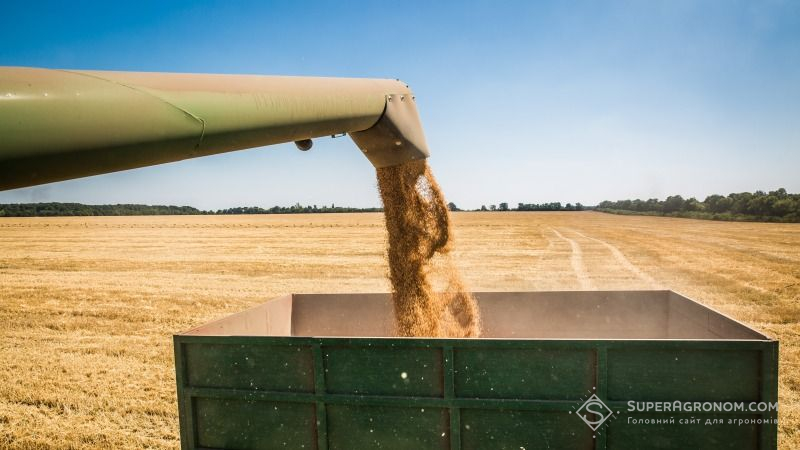 Валовий збір зерна на Черкащині зросте на 20% — прогноз