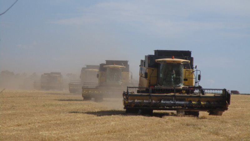 Аграріям Сходу доводиться в екстремальних умовах збирати цьогорічний врожай зерна