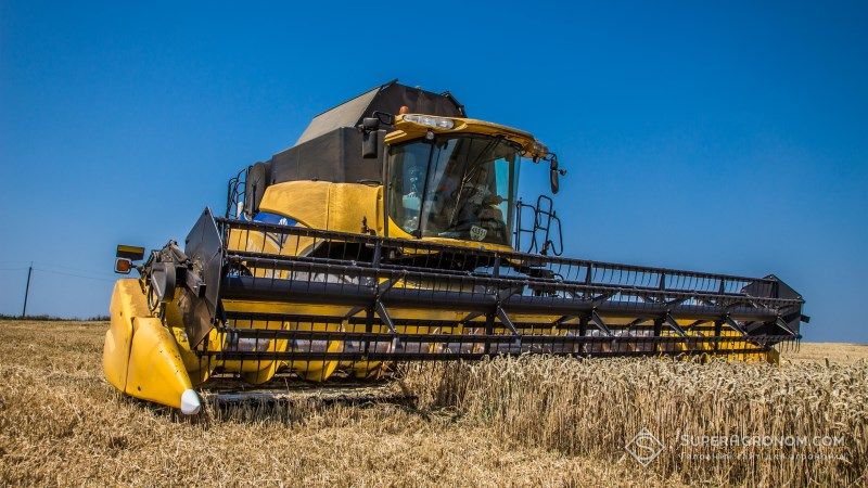 Врожайність пшениці в західних та центральних областях сприяє отриманню високих врожаїв