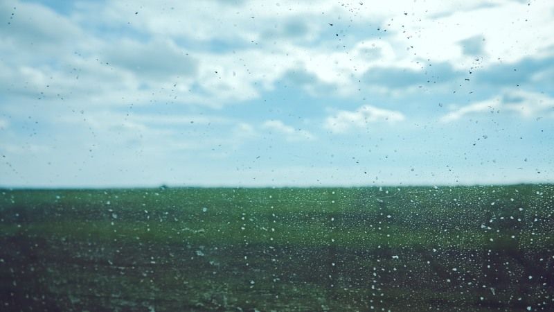 Черкаський гідрометцентр: дощі принесли як користь, так і шкоду майбутнім врожаям