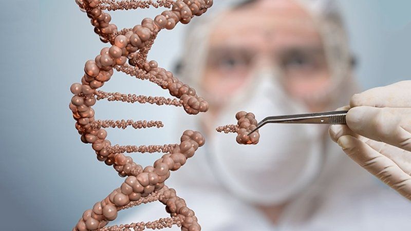 В ЄС технологію редагування генів CRISPR/Cas9 прирівняли до ГМО