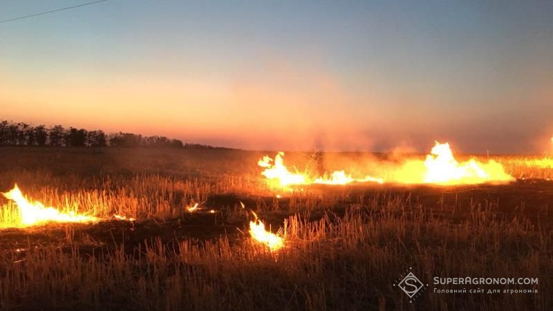 Аграріїв попереджають про найвищий рівень пожежної небезпеки у полях