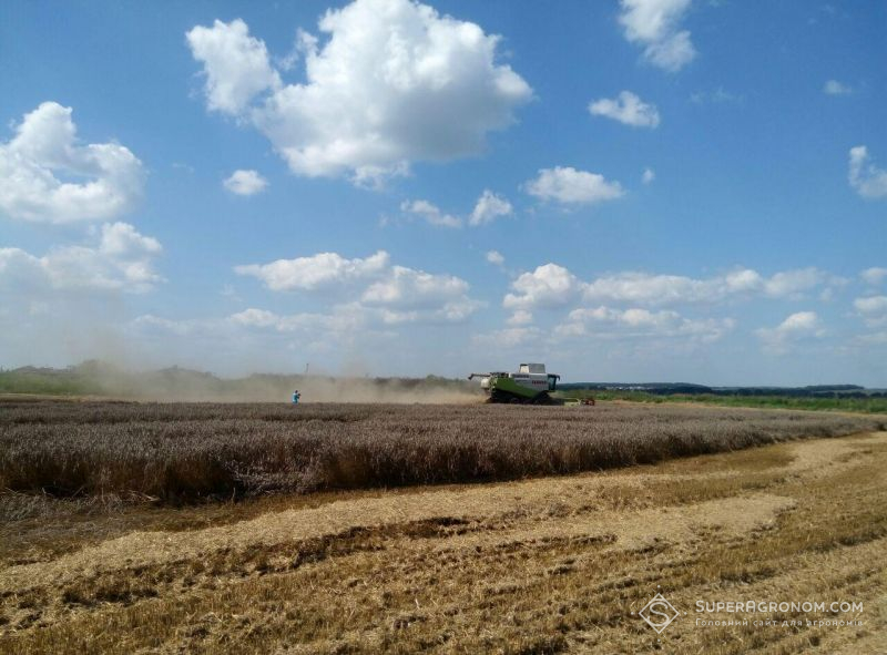 На Харківщині вже зібрано 2 мільйони тонн зерна