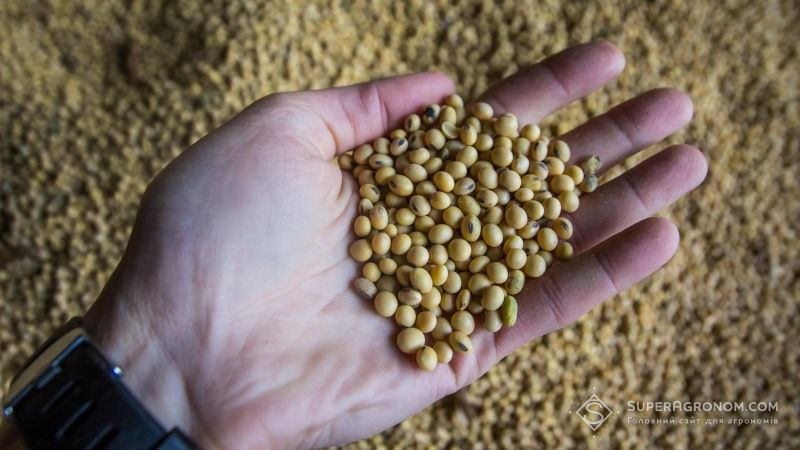 В Україні скоротились запаси пшениці, соняшнику та сої