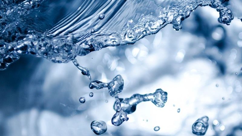 Електролізована вода допомагає попередити появу та розвиток хвороб рослин