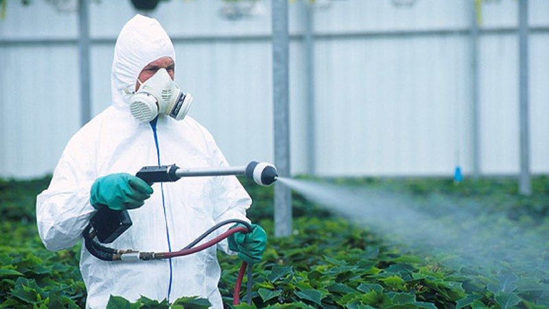 В ООН оприлюднили новий перелік небезпечних агрохімікатів
