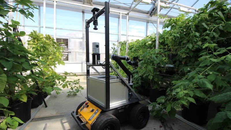 Американці створили робота для штучного запилення рослин