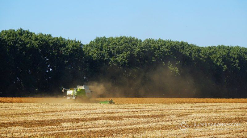 Черкаським аграріям вдалось домогтись збільшення врожайності пізніх культур