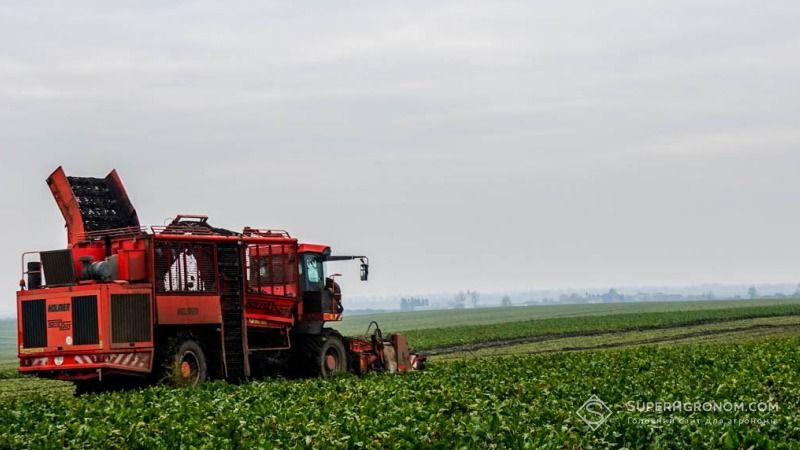 На фоні зниження врожайності цукрових буряків в ЄС Україна очікує нових рекордів