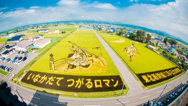 На рисових полях в Японії створюють унікальні мега-картини