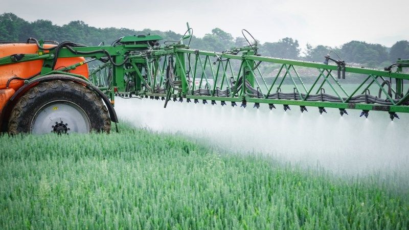 Визначено які країни ЄС лідирують за використанням пестицидів
