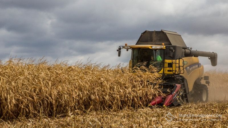 В Україні зібрано половину врожаю кукурудзи
