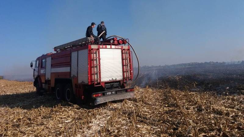 На Сумщині боролися з пожежею на кукурудзяному полі