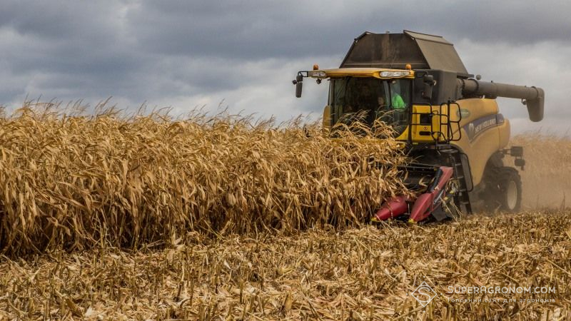 Полтавські аграрії націлені зібрати 5 млн тонн зерна