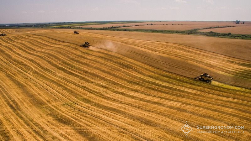 Україна лідирує серед європейських країн за площею сільгоспугідь