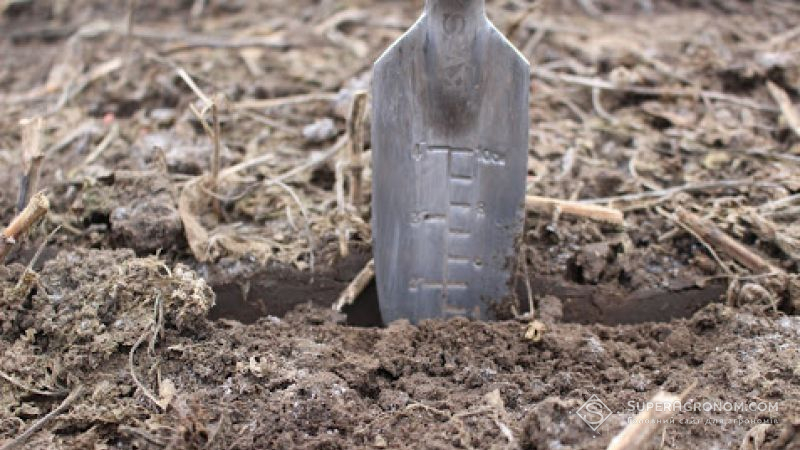 Більше третини ґрунтів України мають нейтральну реакцію ґрунтового розчину