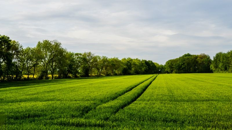 Визначено рейтинг успішних органічних агропідприємств України