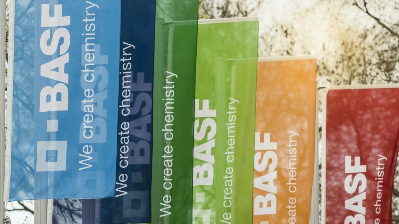 BASF відкриває надсучасний центр селекції огірків