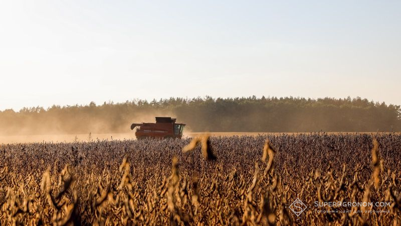 В Україні зібрано майже 63 млн тонн зерна