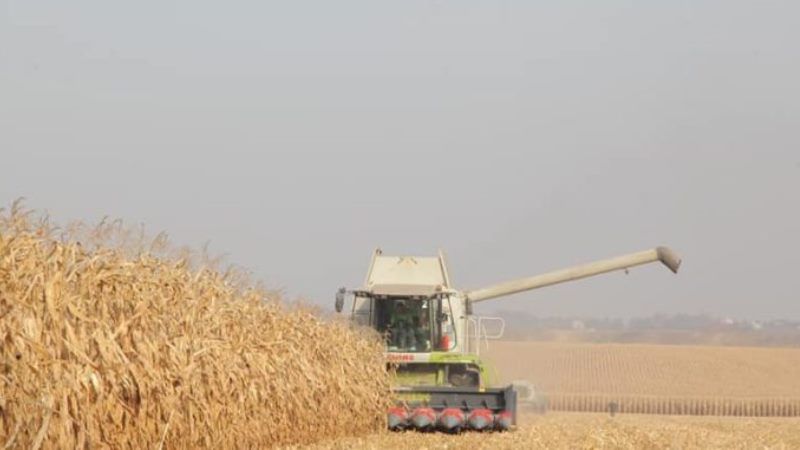 Агропродсервіс завершив збирати кукурудзу з врожайністю вище 10 т/га