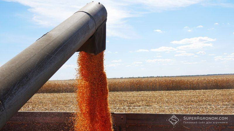 На Вінниччині намолочено рекордні 6 млн тонн зерна