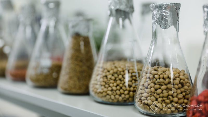 Фітолабораторії підбили підсумки робіт з перевірки якості насіння