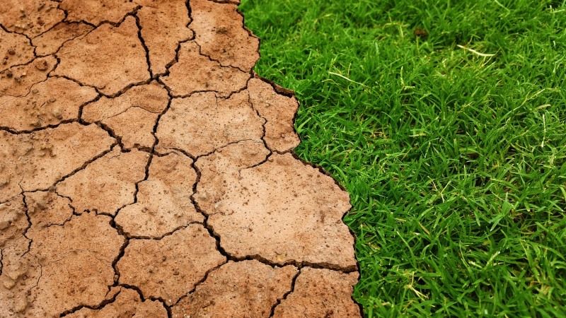 3 млн га земель в Україні перебуває в зоні критичного дефіциту води