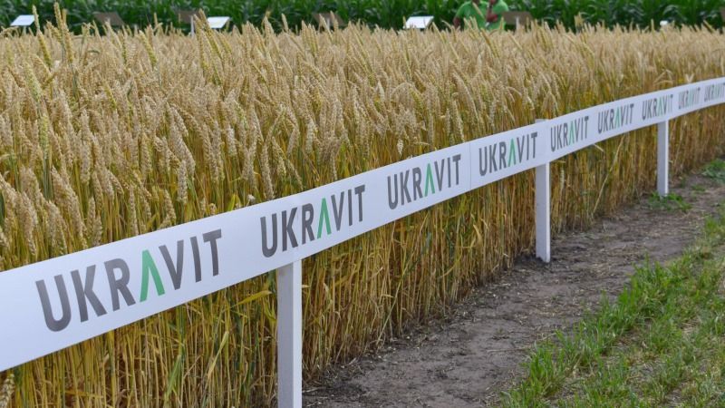 UKRAVIT провела 20 навчальних семінарів для аграріїв