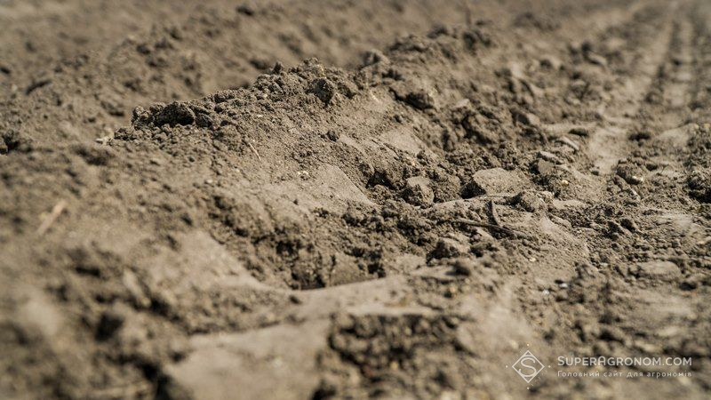 Південь України найбільш вразливий до переущільнення ґрунтів — експерт