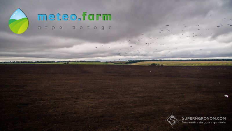 В Україні похолодає та дощитиме — АгроПогода на 11 квітня