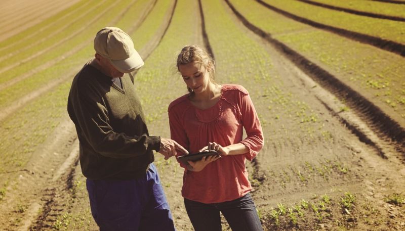 Yara і IBM створять платформу цифрового сільського господарства