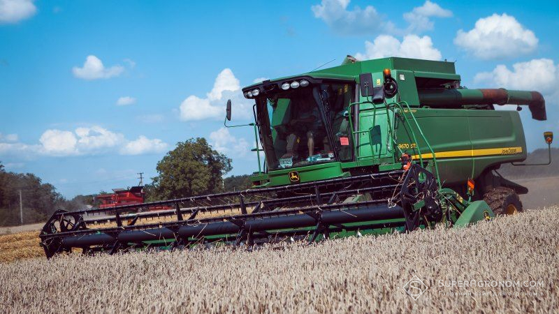 В Україні збільшиться валове виробництво пшениці, проса, гороху та ріпаку — прогноз