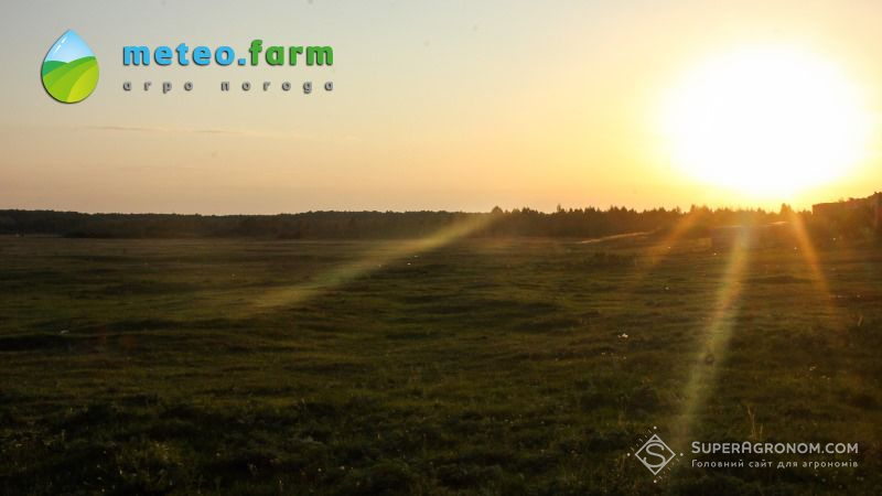 На сході та півдні України пануватиме спека — АгроПогода на 16 травня