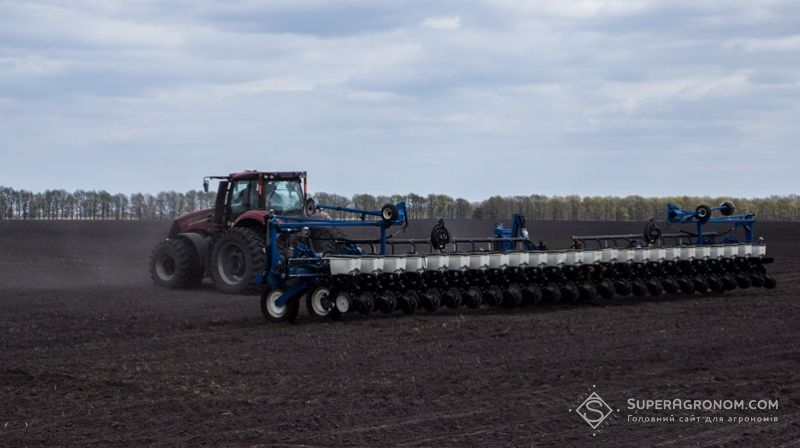 Визначено області-лідери за темпами сівби кукурудзи в Україні