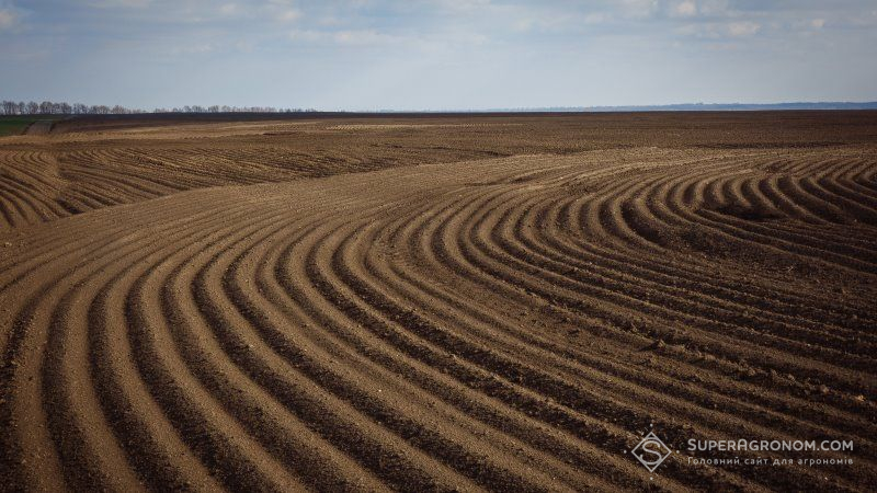 Більше 20% земель в Україні втратили свою продуктивність