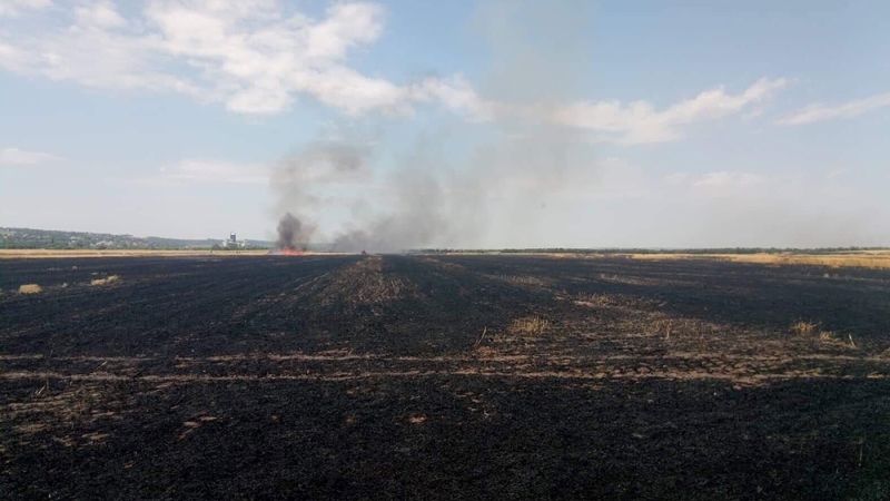 Масштабна пожежа знищила поле пшениці на Миколаївщині