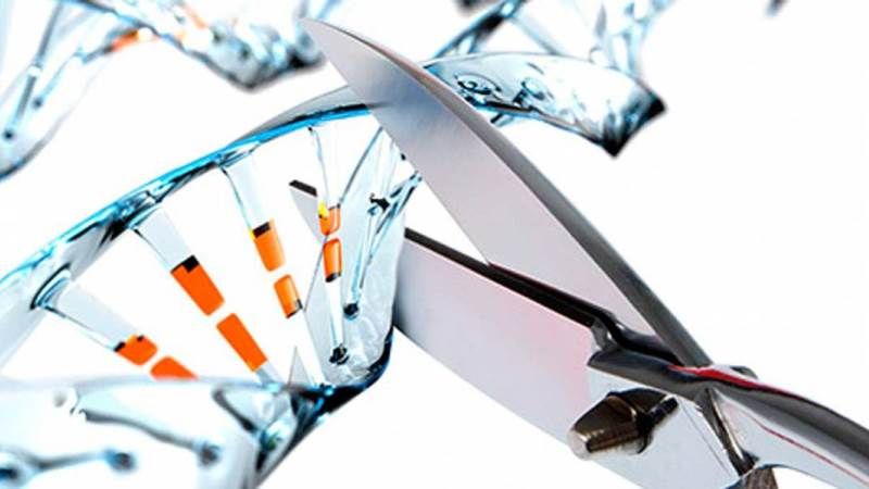 Вчені представили дешевий аналог технології редагування генів CRISPR
