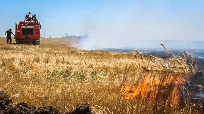 Поблизу населених пунктів на Миколаївщині безконтрольно спалюють стерню