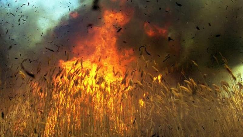 Щодня на полях згорають десятки гектарів зернових — ДСНС