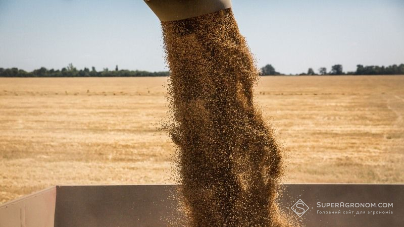 Аграрії Вінниччини зібрали понад 2 млн тонн зерна