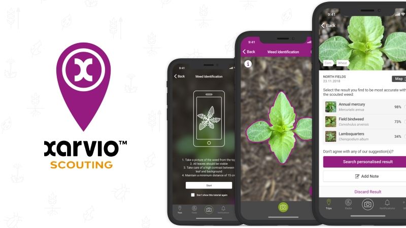 Цифрову платформу xarvio™ від BASF визнано найкращою інновацією в рослинництві та ґрунтознавстві