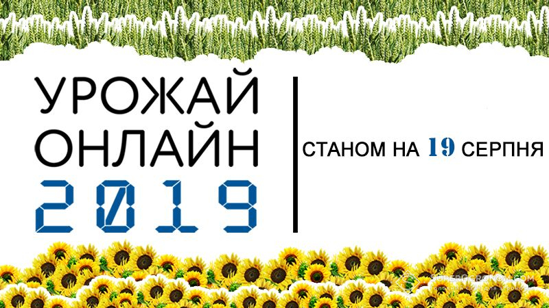 В Україні розпочались жнива пізніх культур — Урожай Онлайн 2019
