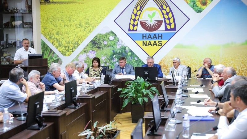 Україна має всі можливості для збільшення виробництва рису, — Шеремета