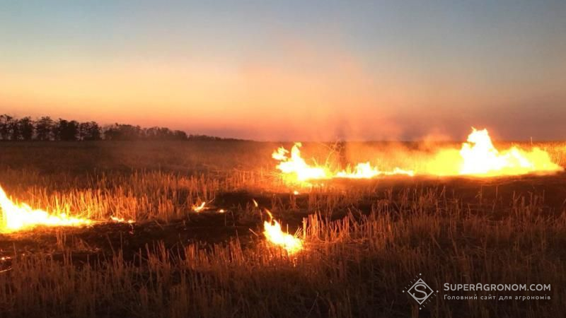Спалювання стерні є причиною катастрофічних наслідків дня ґрунтів