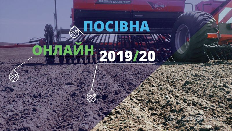 За площами, засіяними ріпаком лідирує Дніпропетровщина — Посівна Онлайн 2019/20