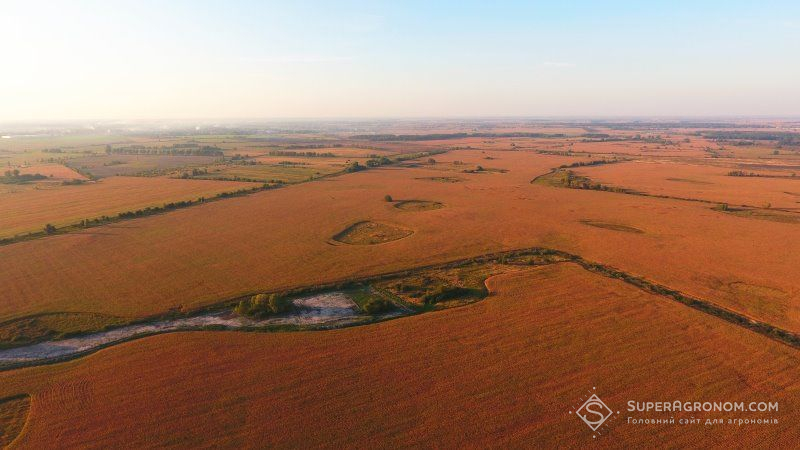 Від 5 до 25% земель в Україні не інвентаризовано — експерт