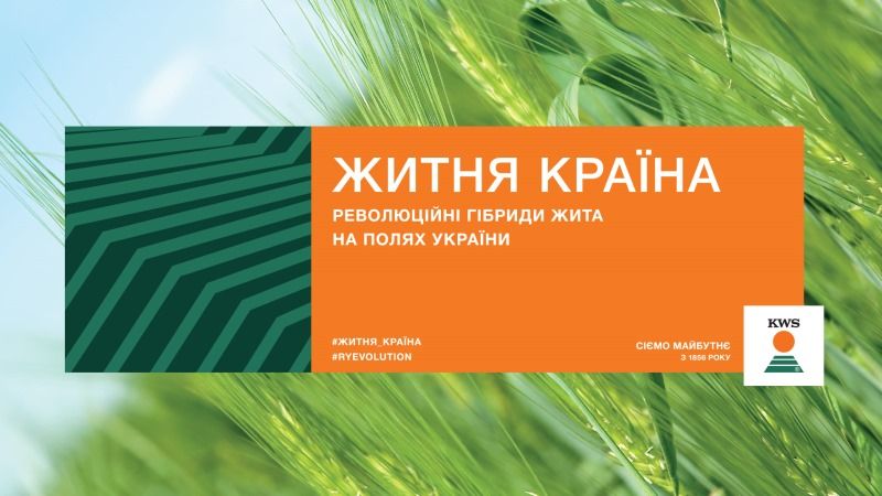 Українським аграріям продемонструють переваги гібридного жита