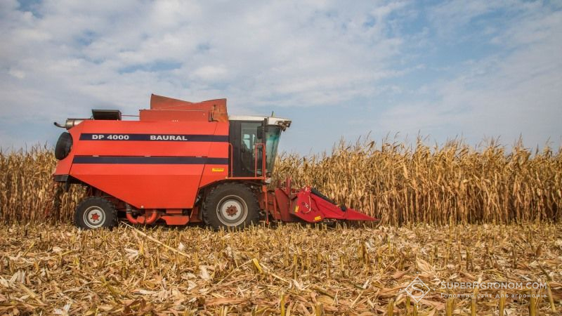 Темпи жнив кукурудзи в США значно відстають від минулорічних — USDA