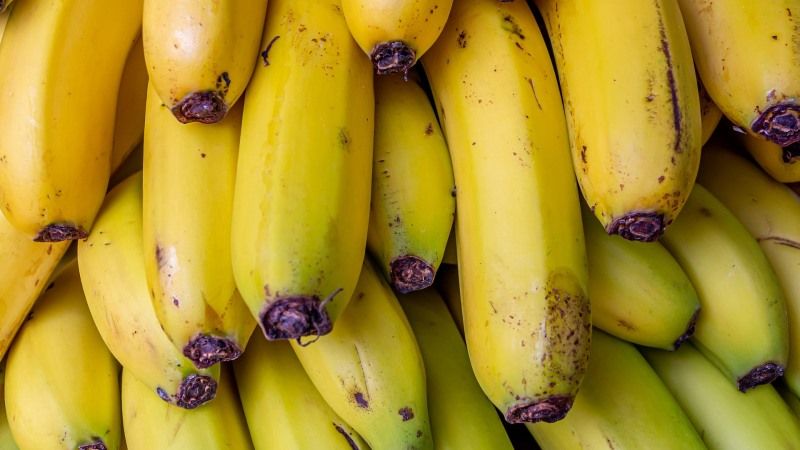 На Кіровоградщині зібрали перший врожай бананів